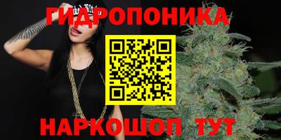 spice Кимры