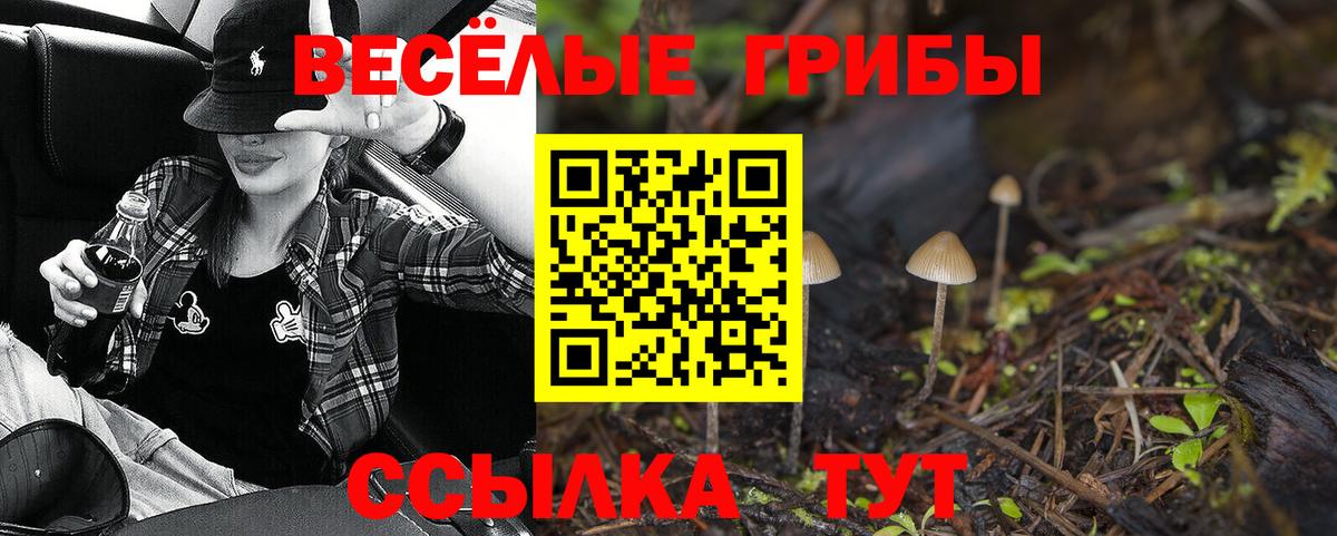 Псилоцибиновые грибы мицелий Валуйки