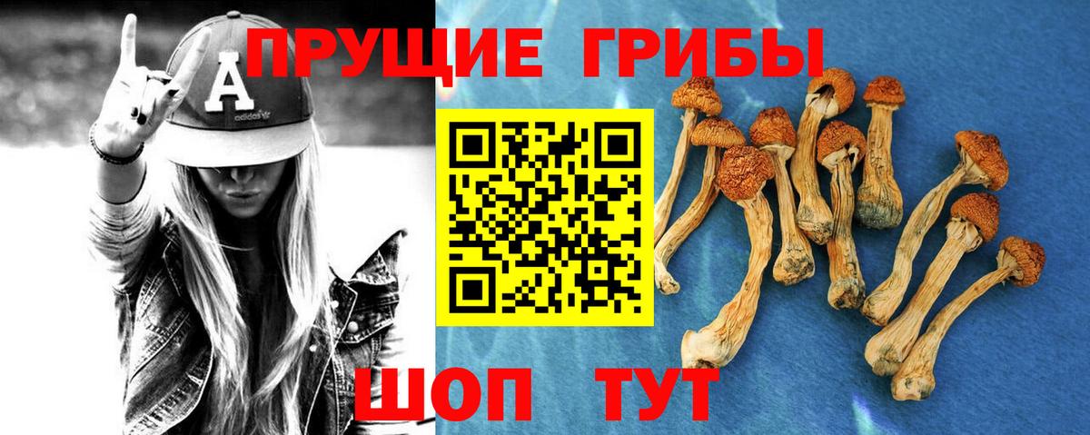 Валуйки  Псилоцибиновые грибы Magic Shrooms  Вход с VPN  Галлюциногенные грибы мухоморы 